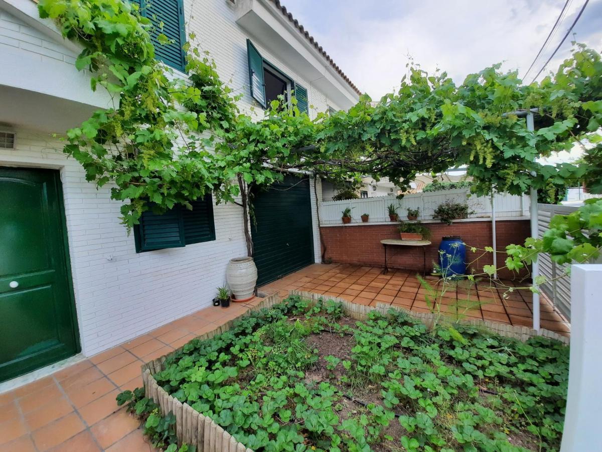 Apartament Cosy House With Garden Infront Of The Sea Creixell Zewnętrze zdjęcie